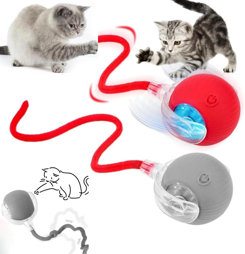 Kuyruklu Otomatik Yuvarlanan Oyun Topu