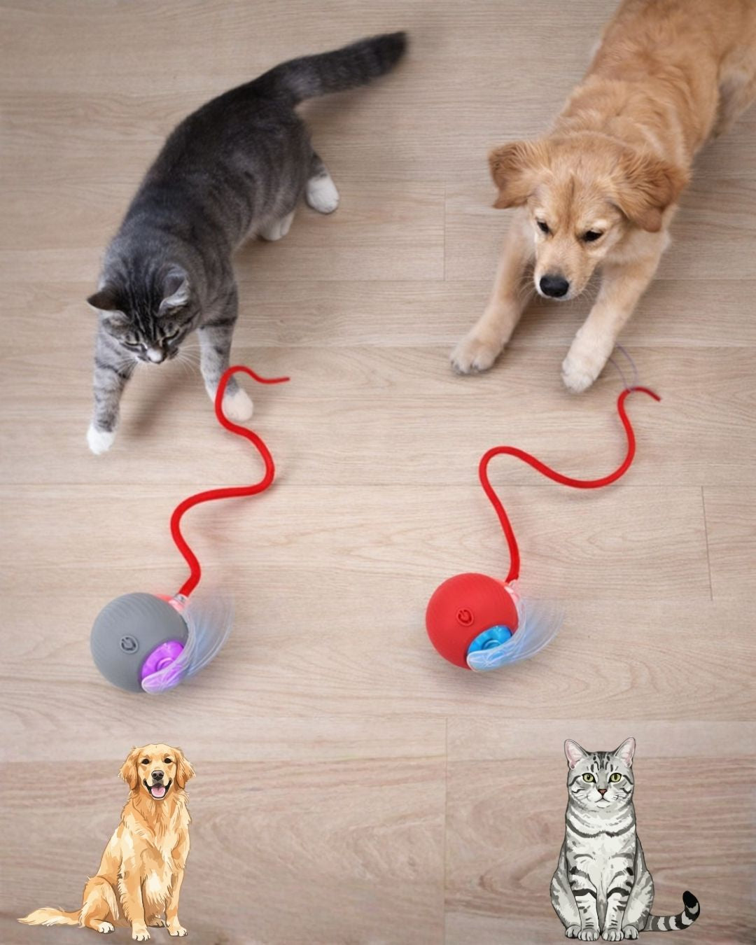 Kuyruklu Otomatik Yuvarlanan Oyun Topu