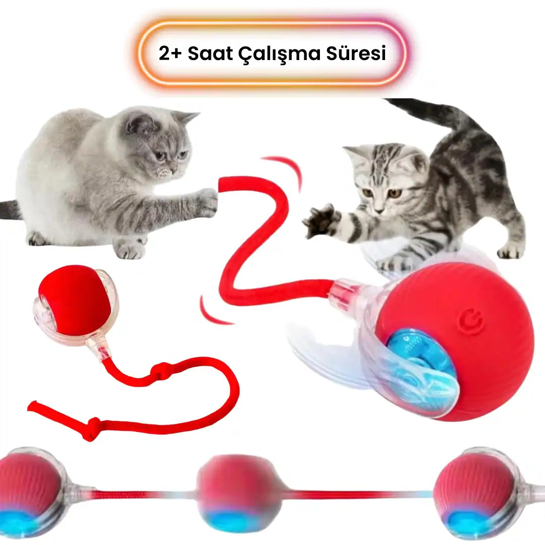 yavru kedi oyuncağı