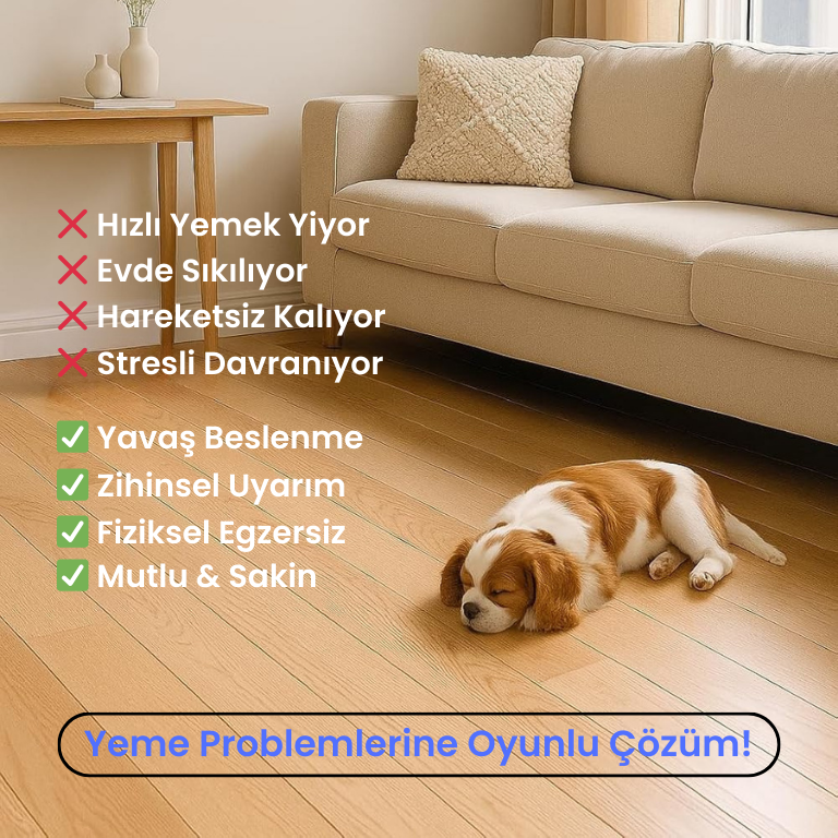 Zeka Geliştirici Mama Oyuncağı