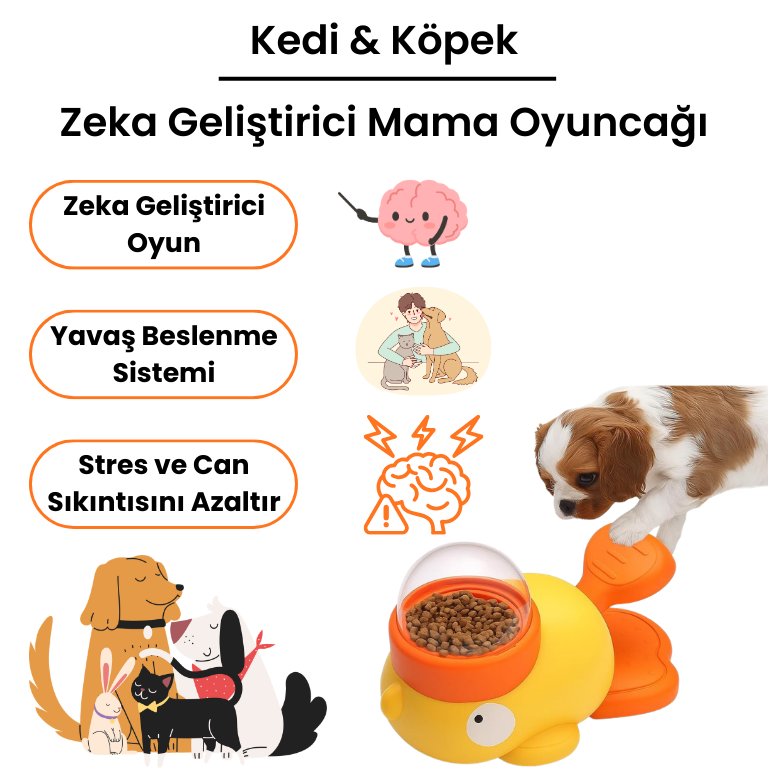 Zeka Geliştirici Mama Oyuncağı