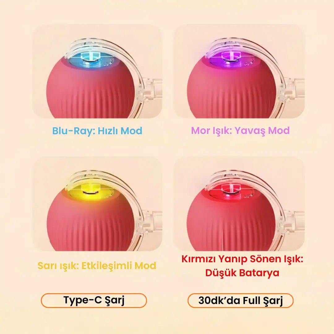 kedi köpek oyuncakları