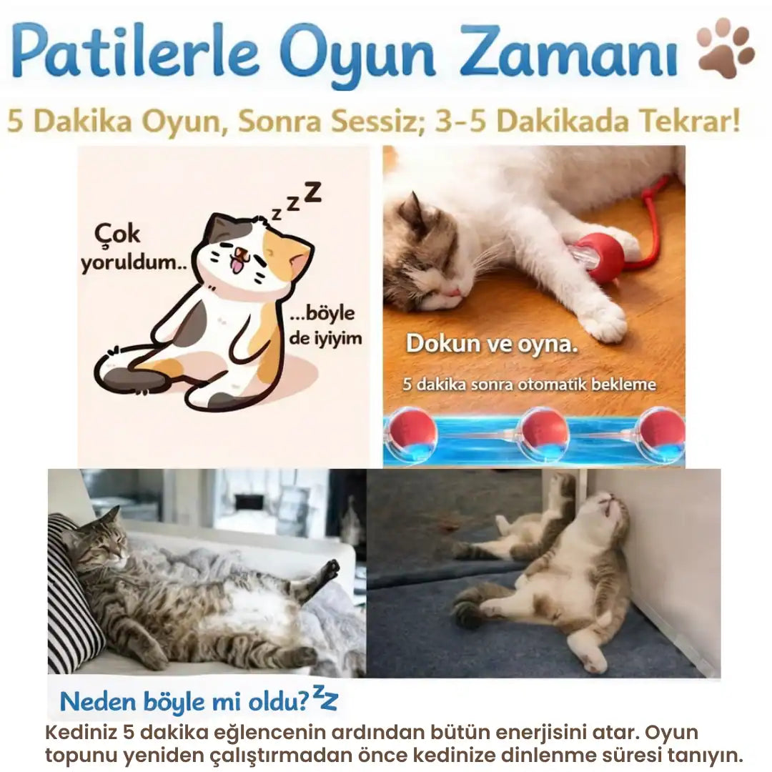 kedi oyuncakları