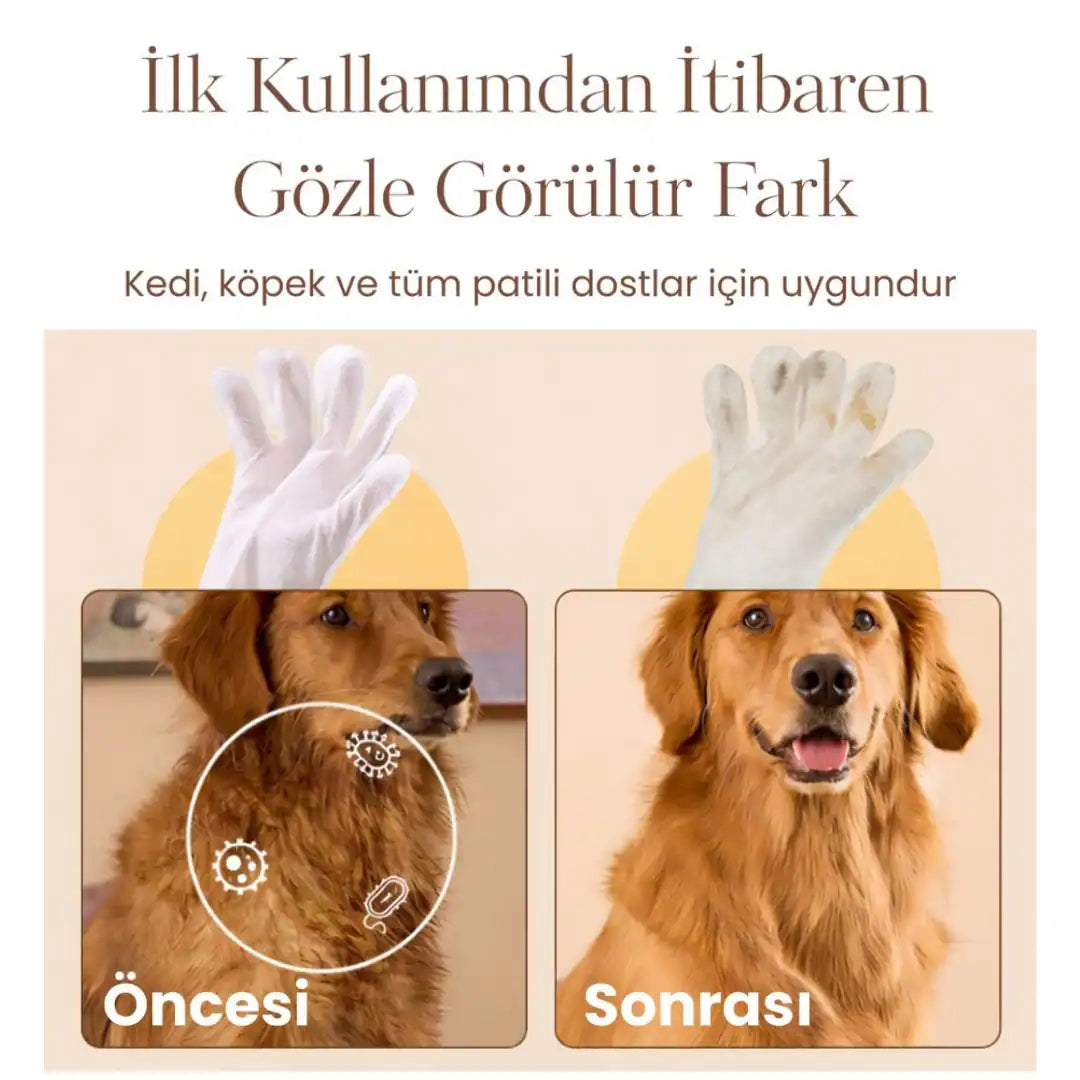 Temizlik Eldiveni - Kedi&Köpek - 20li - 6lı Paket Adet
