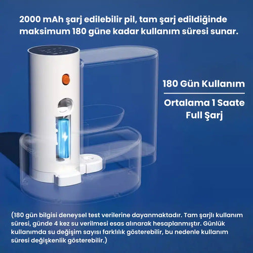 kediler için otomatik temizlenen su