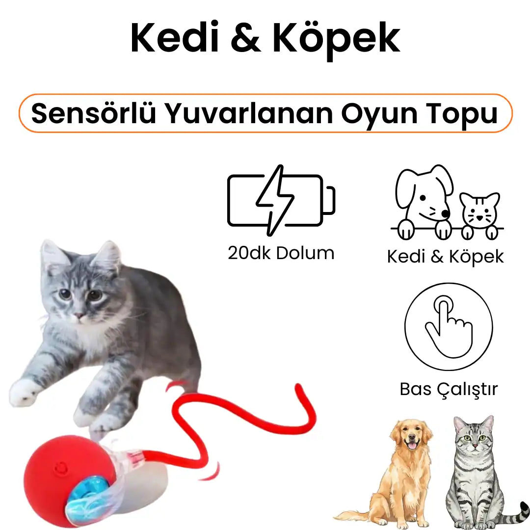 küçük kedi oyuncağı