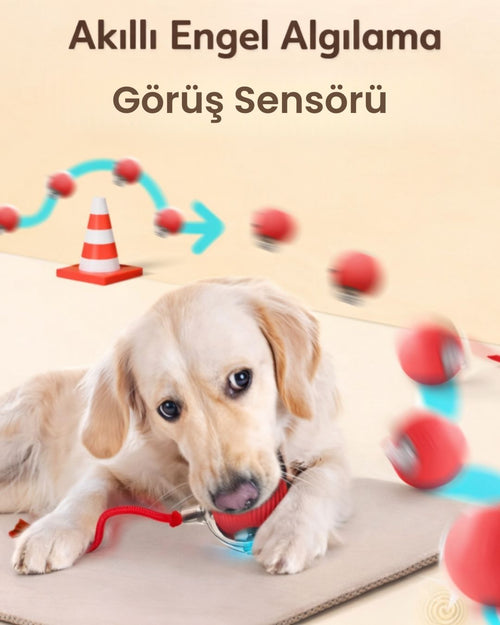 Kuyruklu Otomatik Yuvarlanan Oyun Topu