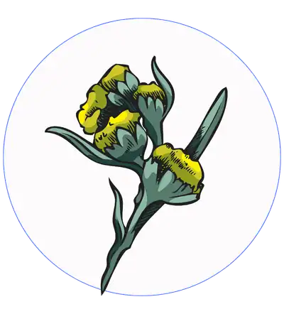 Alt Image
