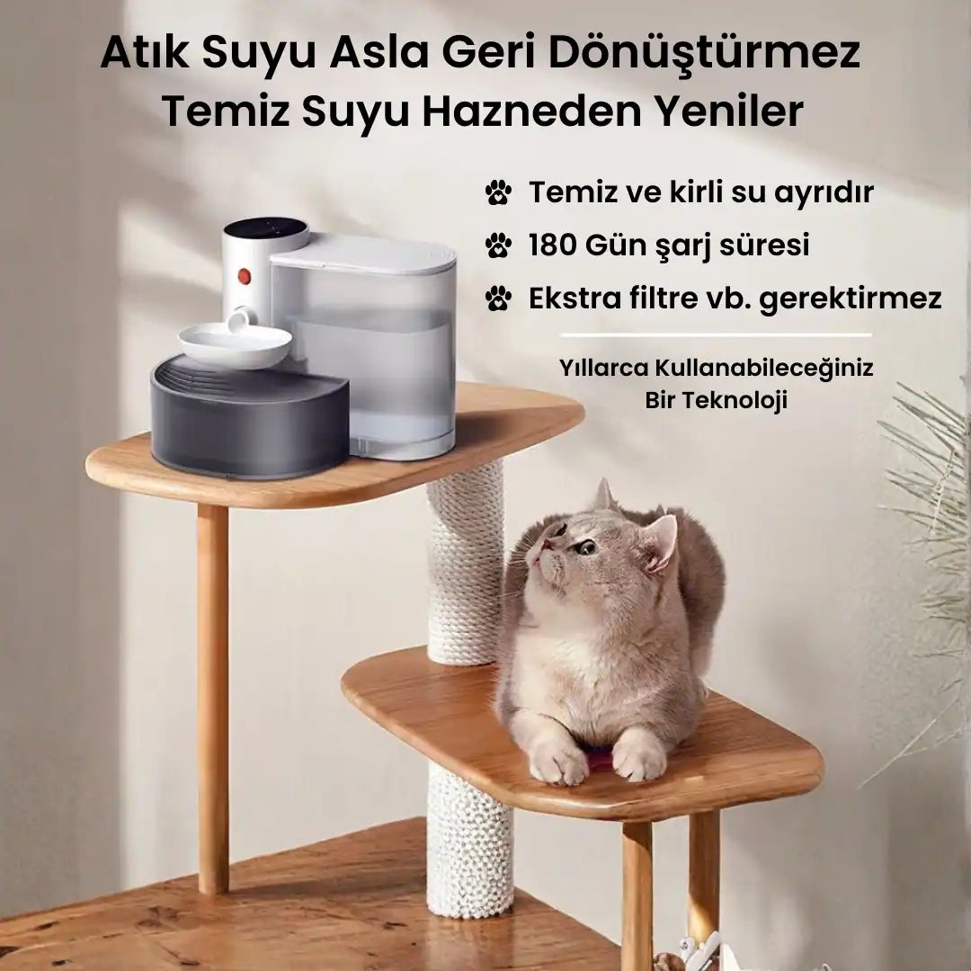 Köpek için otomatik su kabi