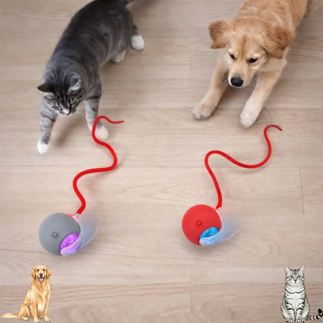 kuyruklu yuvarlanan oyun topu