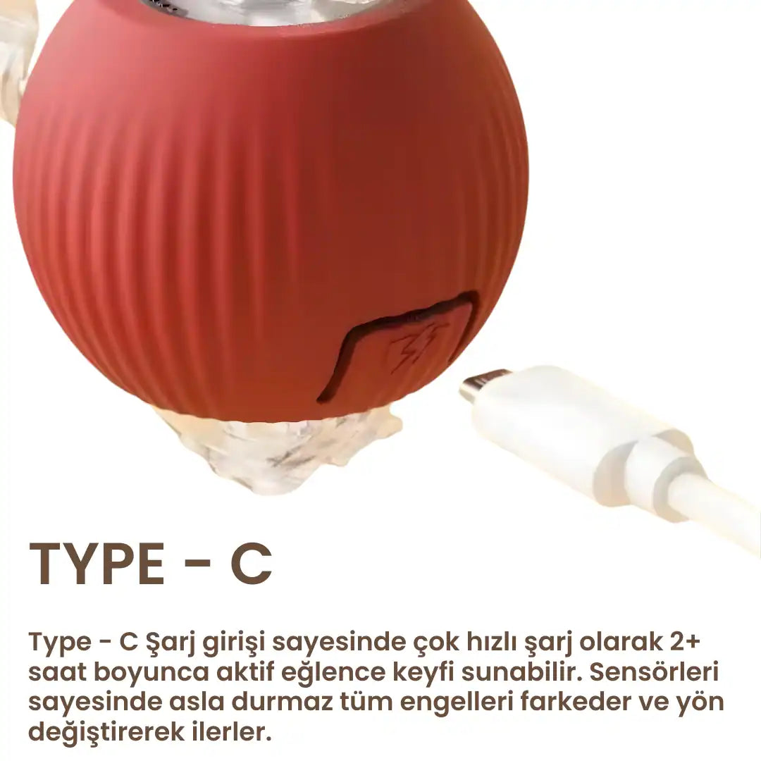 kaliteli kedi oyuncakları