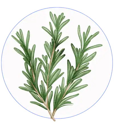 Alt Image